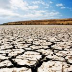 Засуха в казахстане