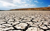 Засуха в казахстане
