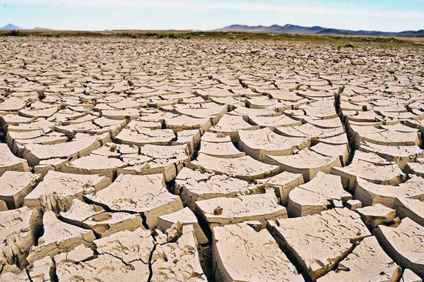 причины и последствия засухи в казахстане