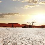 проблемы с засухой в африке