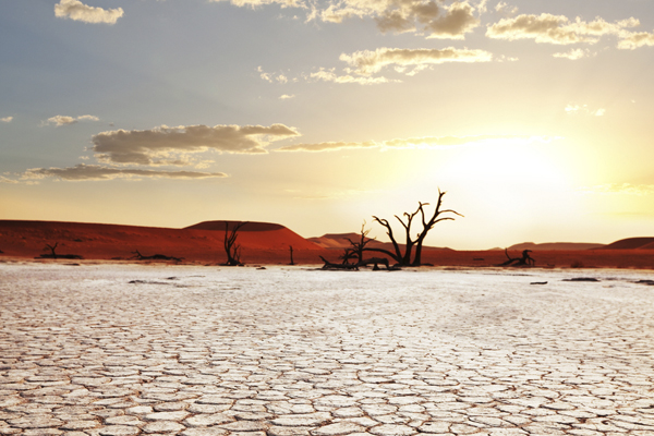проблемы с засухой в африке
