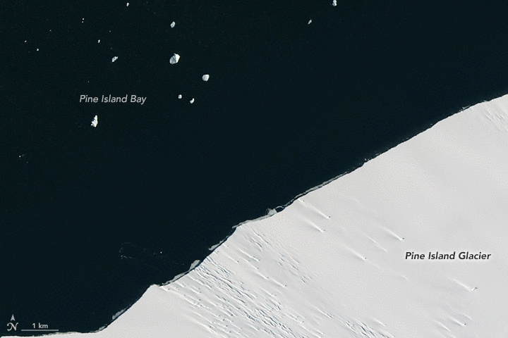 айсберг откололся от антарктиды